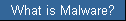 What is Malware?