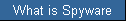 What is Spyware